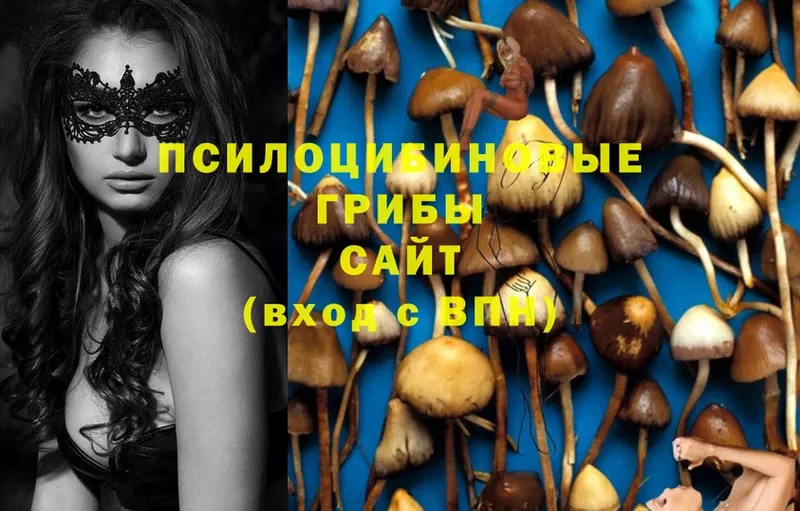 Псилоцибиновые грибы Magic Shrooms  hydra ССЫЛКА  Елабуга 